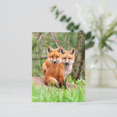 Postkarte mit Foto von roten Fuchskits (Stehend Vorderseite)