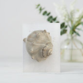 Postkarte mit Fotografie einer Nodulus-Schnecke (Stehend Vorderseite)