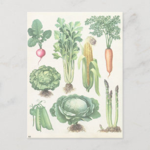 Postkarte mit Gemüse aus dem Garten im Vintage-Sti