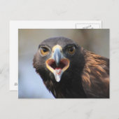 Postkarte mit Golden Eagle (Vorne/Hinten)