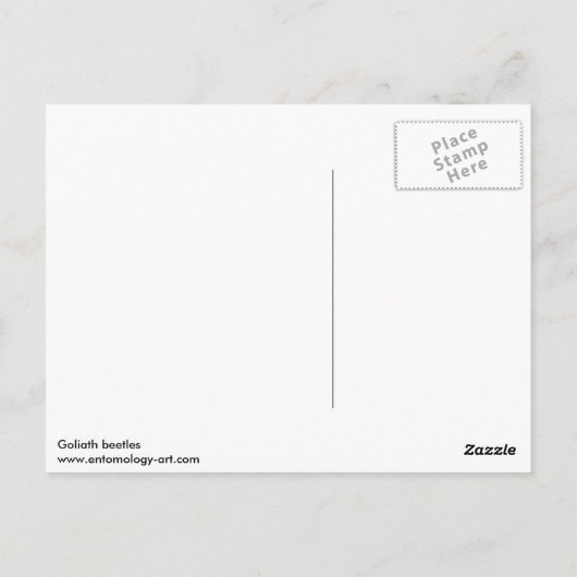 Postkarte mit Goliath-Käfer (Rückseite)
