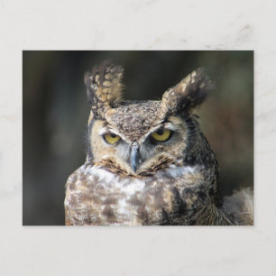 Postkarte mit Großer Hornhaut