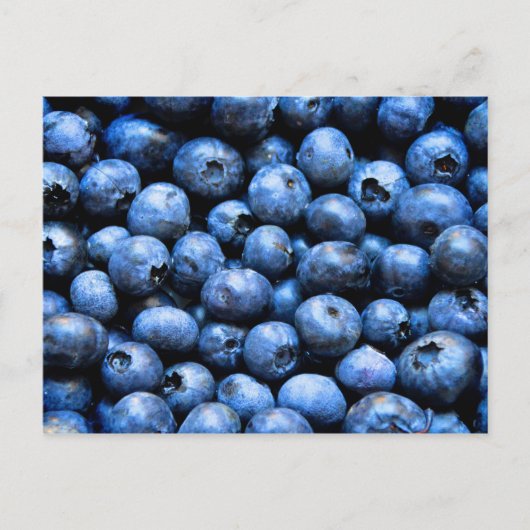Postkarte mit Heidelbeeren (Vorderseite)