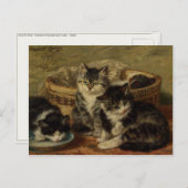 Postkarte mit Henriette Ronner-Knip Malerei (Vorne/Hinten)