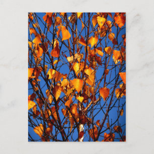 Postkarte mit Herbstlaub