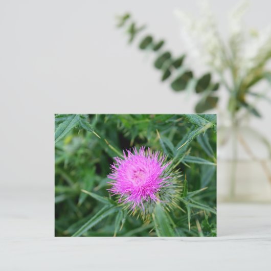 Postkarte mit lebendigem Siegel. (Stehend Vorderseite)