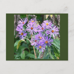 Postkarte mit lila Wildblumen