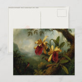 Postkarte mit Martin Johnson Heade-Gemälde (Vorne/Hinten)