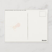 Postkarte mit Martin Johnson Heade Malerei (Rückseite)