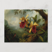 Postkarte mit Martin Johnson Heade Malerei (Vorderseite)