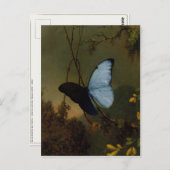 Postkarte mit Martin Johnson Heade Malerei (Vorne/Hinten)