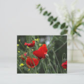 Postkarte mit Mohnblumen in der Natur (Stehend Vorderseite)