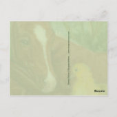 Postkarte mit niedlicher Ente (Rückseite)