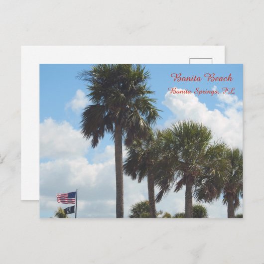 Postkarte mit Palmen Trees am Strand (Vorne/Hinten)