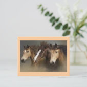 Postkarte mit Pferden (Stehend Vorderseite)