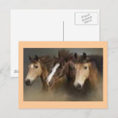 Postkarte mit Pferden (Vorne/Hinten)