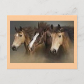 Postkarte mit Pferden