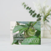 Postkarte mit Raupe & Humor (Stehend Vorderseite)