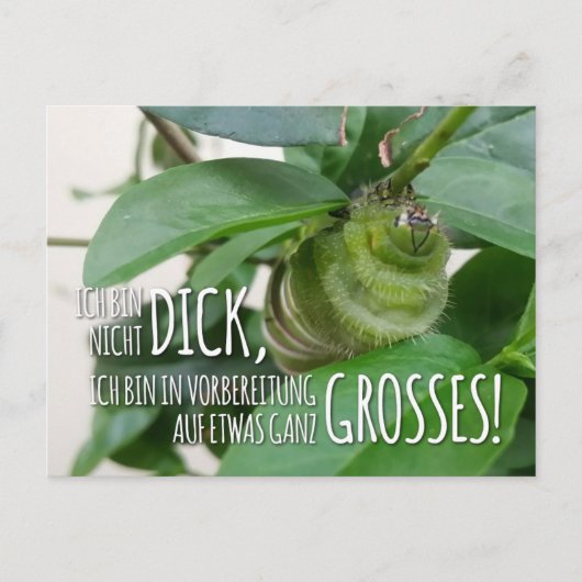 Postkarte mit Raupe & Humor (Vorderseite)