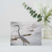 Postkarte mit Reiher im Wasser (Stehend Vorderseite)