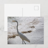 Postkarte mit Reiher im Wasser (Vorne/Hinten)