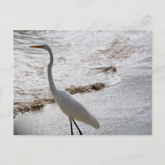 Postkarte mit Reiher im Wasser