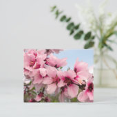 Postkarte mit rosa blendender Zweigstelle (Stehend Vorderseite)