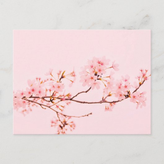 Postkarte mit rosa Marmorblume (Vorderseite)