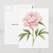 Postkarte mit rosa Pfingstrose (Vorne/Hinten)