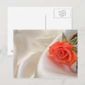 Postkarte mit rosa Rosa (Vorne/Hinten)