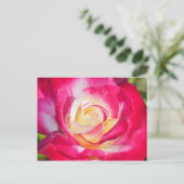 Postkarte mit rosa und gelb rosa Aufdruck (Stehend Vorderseite)