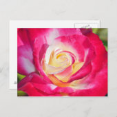 Postkarte mit rosa und gelb rosa Aufdruck (Vorne/Hinten)