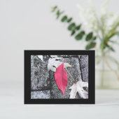 Postkarte mit rotem Leaf (Stehend Vorderseite)