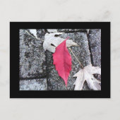 Postkarte mit rotem Leaf (Vorderseite)