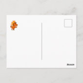 Postkarte mit roten Pferden (Rückseite)