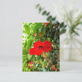 Postkarte mit roter Blumenhülle (Stehend Vorderseite)