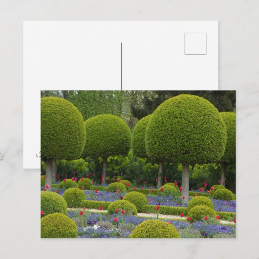 Postkarte mit runden Bäumen (Vorne/Hinten)