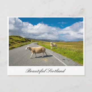 Postkarte mit Schafen in Schottland