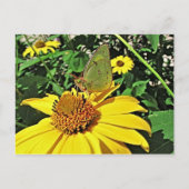 Postkarte mit schönem Sommerbild (Vorderseite)