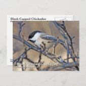 Postkarte mit schwarzer Kartenkassette (Vorne/Hinten)