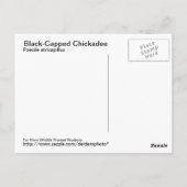 Postkarte mit schwarzer Kartenkassette (Rückseite)