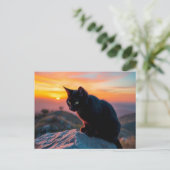 Postkarte mit schwarzer Katzensilhouette bei Sonne (Stehend Vorderseite)