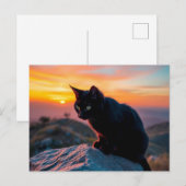 Postkarte mit schwarzer Katzensilhouette bei Sonne (Vorne/Hinten)