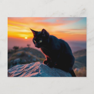 Postkarte mit schwarzer Katzensilhouette bei Sonne