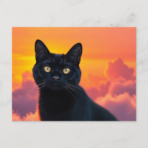 Postkarte mit schwarzer Katzensilhouette bei Sonne