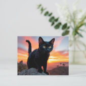 Postkarte mit schwarzer Katzensilhouette bei Sonne (Stehend Vorderseite)