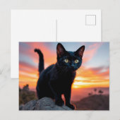Postkarte mit schwarzer Katzensilhouette bei Sonne (Vorne/Hinten)