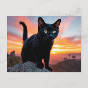 Postkarte mit schwarzer Katzensilhouette bei Sonne