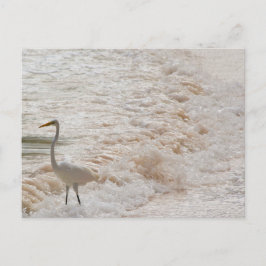 Postkarte mit Silberreiher in den Wellen