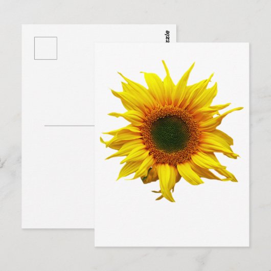 Postkarte mit Sonnenblumendesign (Vorne/Hinten)
